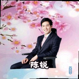 陈锐